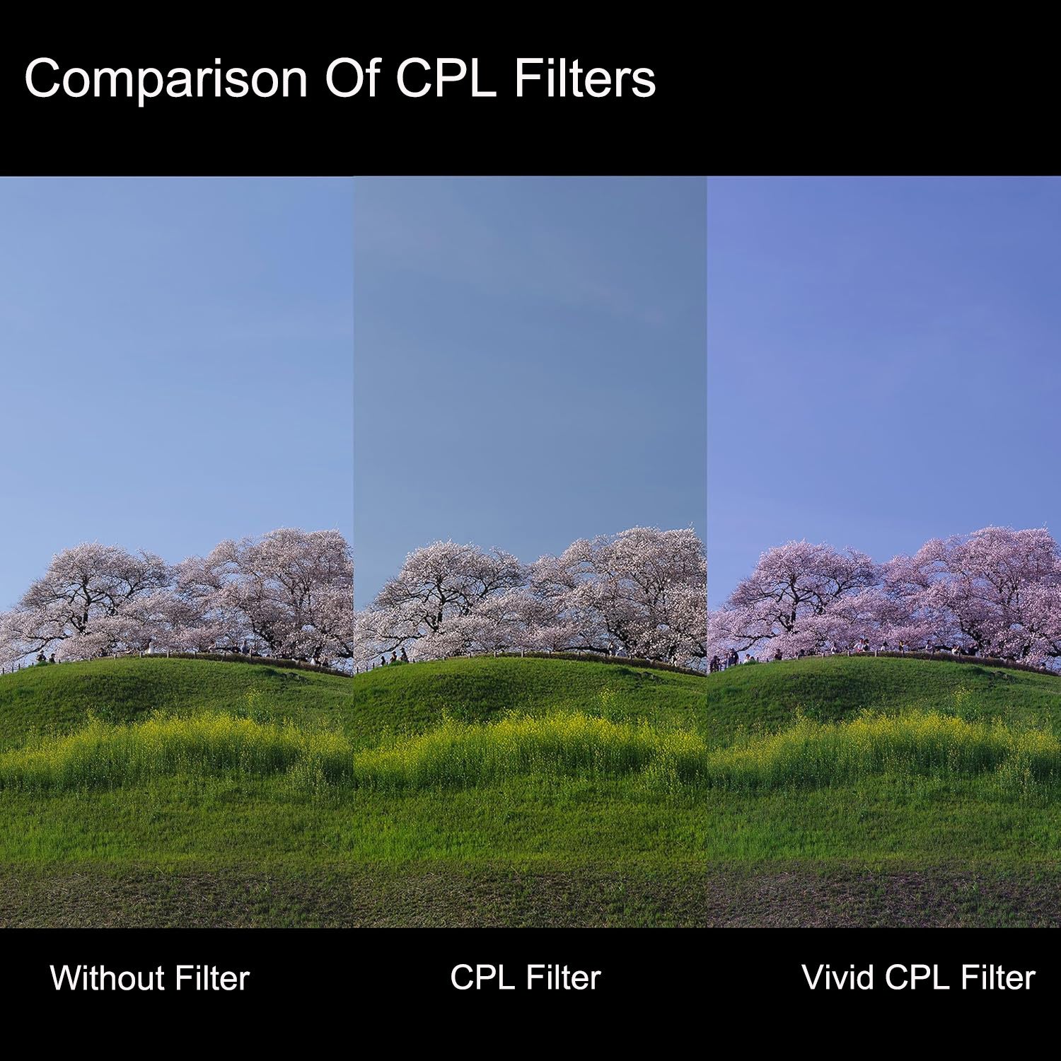 KANI Premium Vivid CPL 67mm (Color Combo) – Kanifilterglobal