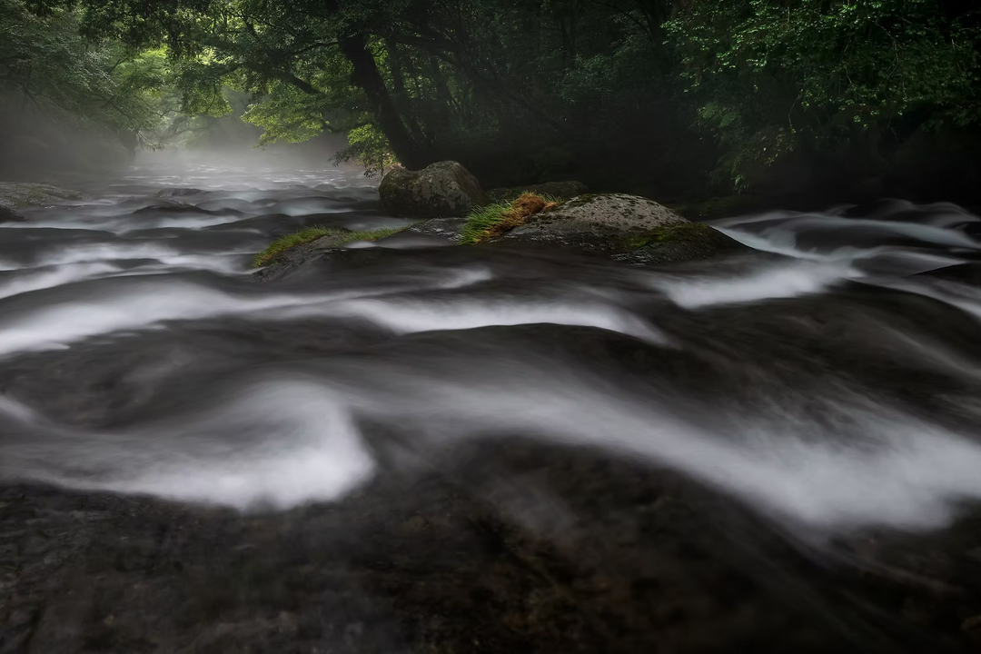 HT100IV Valley Photography Standard set -Nagashima model