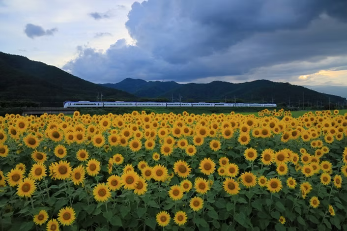 HT100III Railway-Photographer set