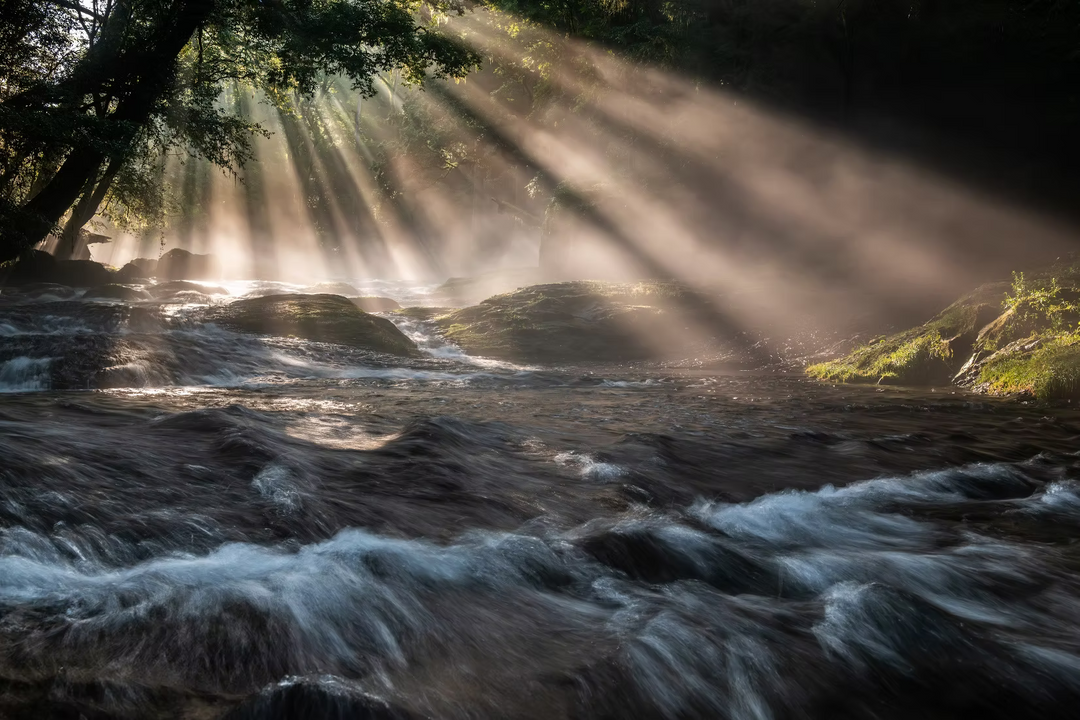 HT100IV Valley Photography Standard set -Nagashima model