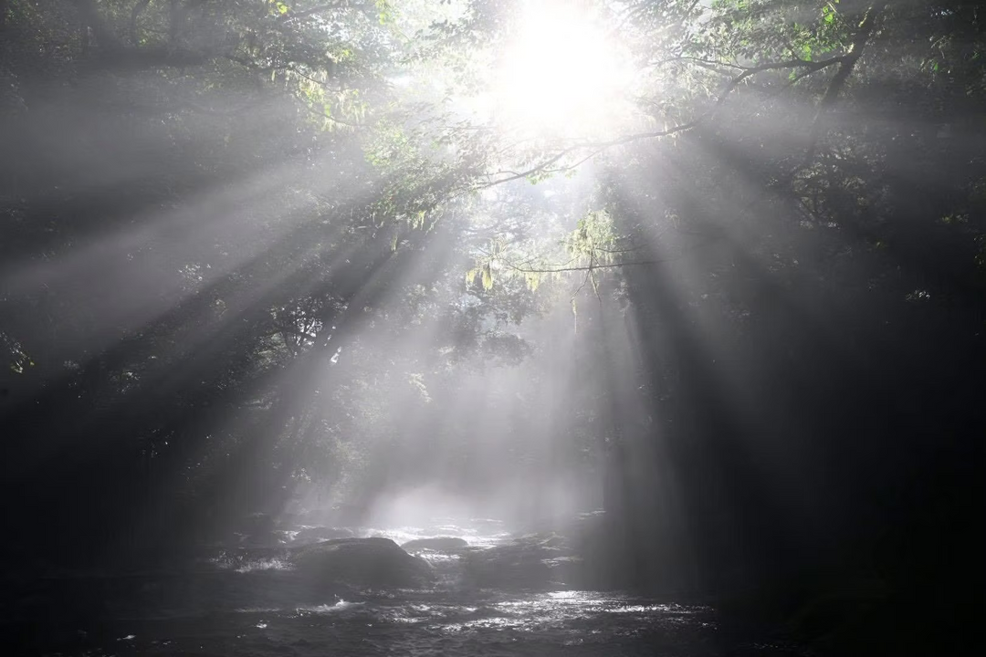 HT100IV Valley Photography Standard set -Nagashima model