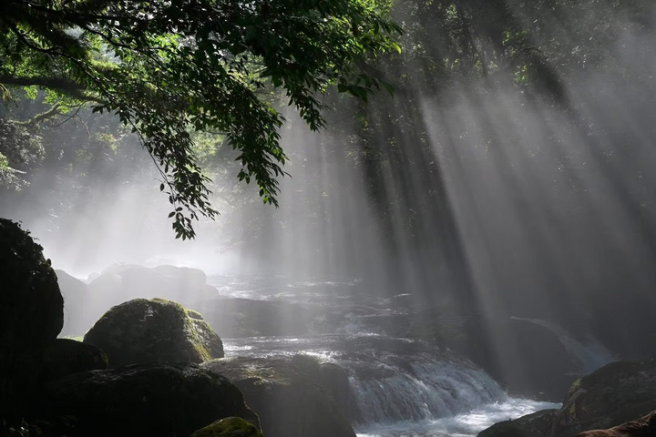 HT100IV Valley Photography Standard set -Nagashima model