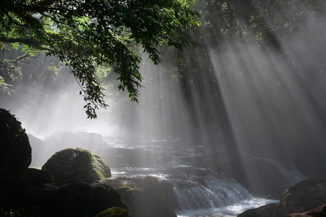 HT100IV Valley Photography Basic set -Nagashima model