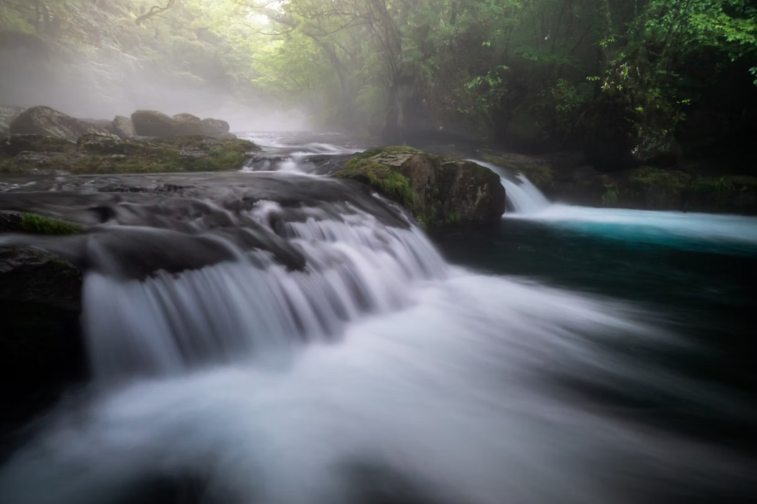 HT100IV Valley Photography Standard set -Nagashima model