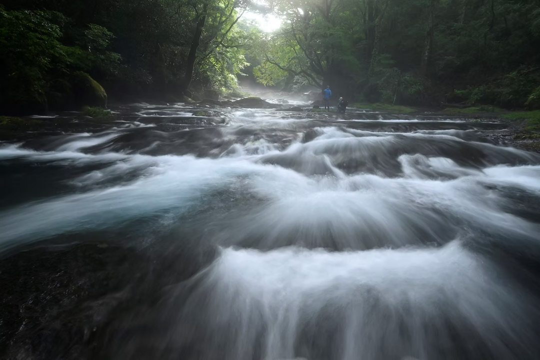 HT100IV Valley Photography Standard set -Nagashima model