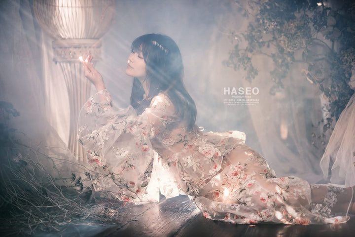 KANI HASEO Filter
