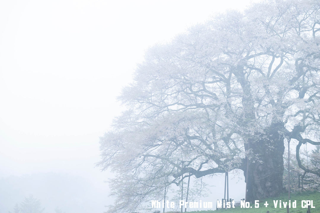 KANI プレミアムホワイトミストフィルター No.1 (100x100mm)