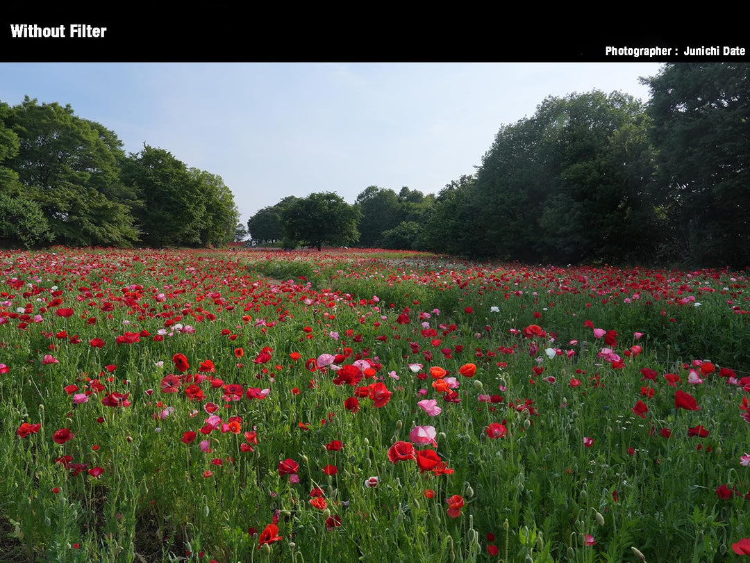 Sky Blue Dual Purpose GND 0.6 100x150mm