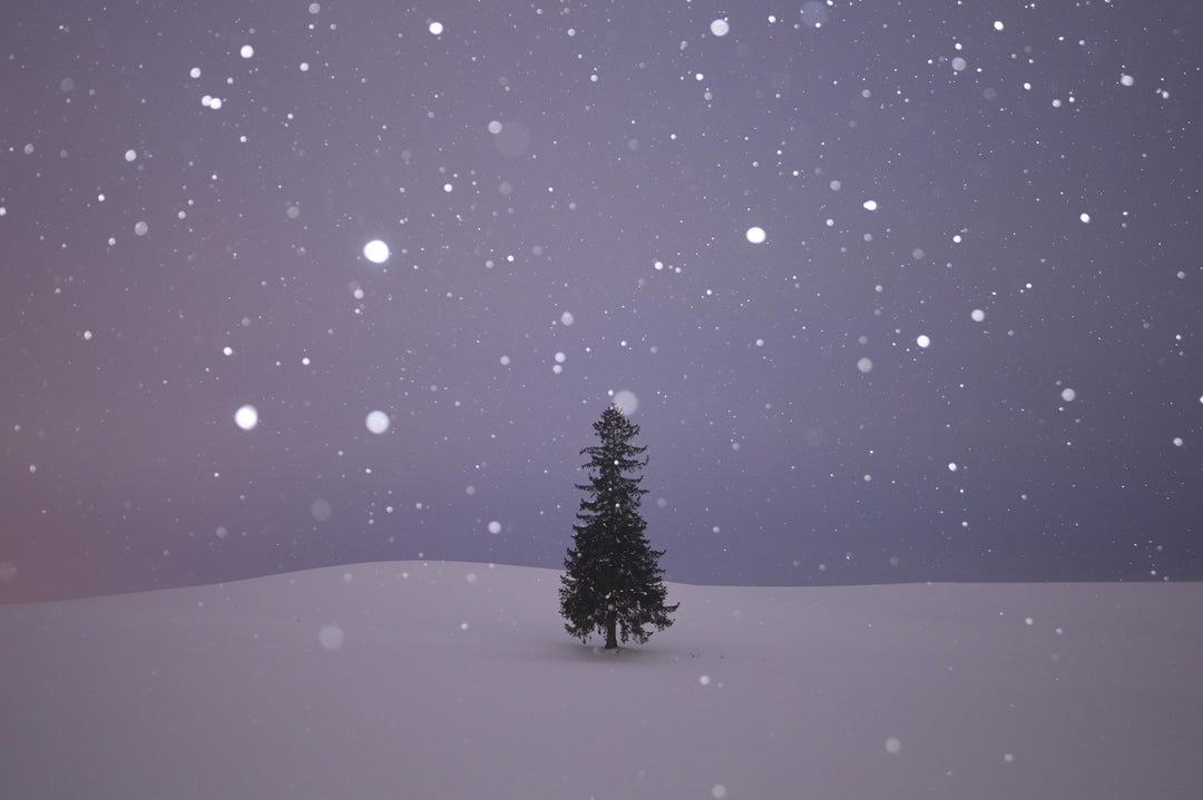 KANI プレミアムホワイトミストフィルター No.1 (100x100mm)